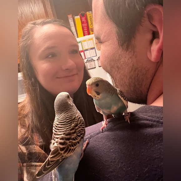 Meet your Posher, Natalie - Picture 13 of 13